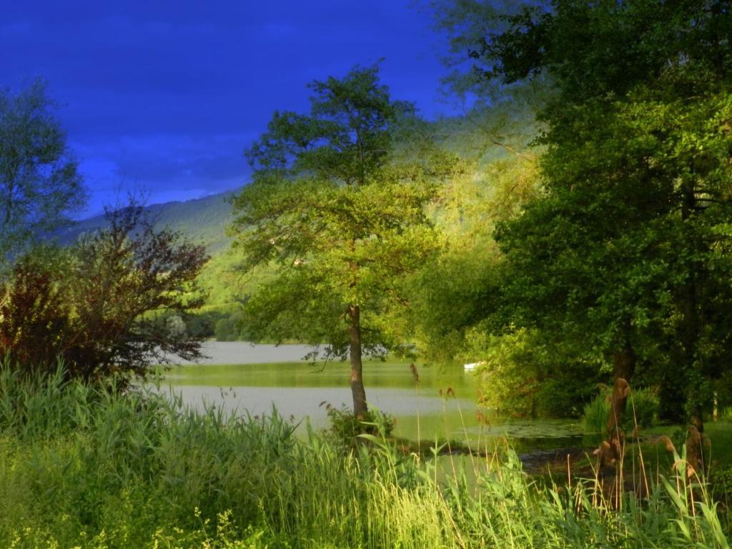 Gite Les Platanes Sainte-Helene-du-Lac Екстериор снимка