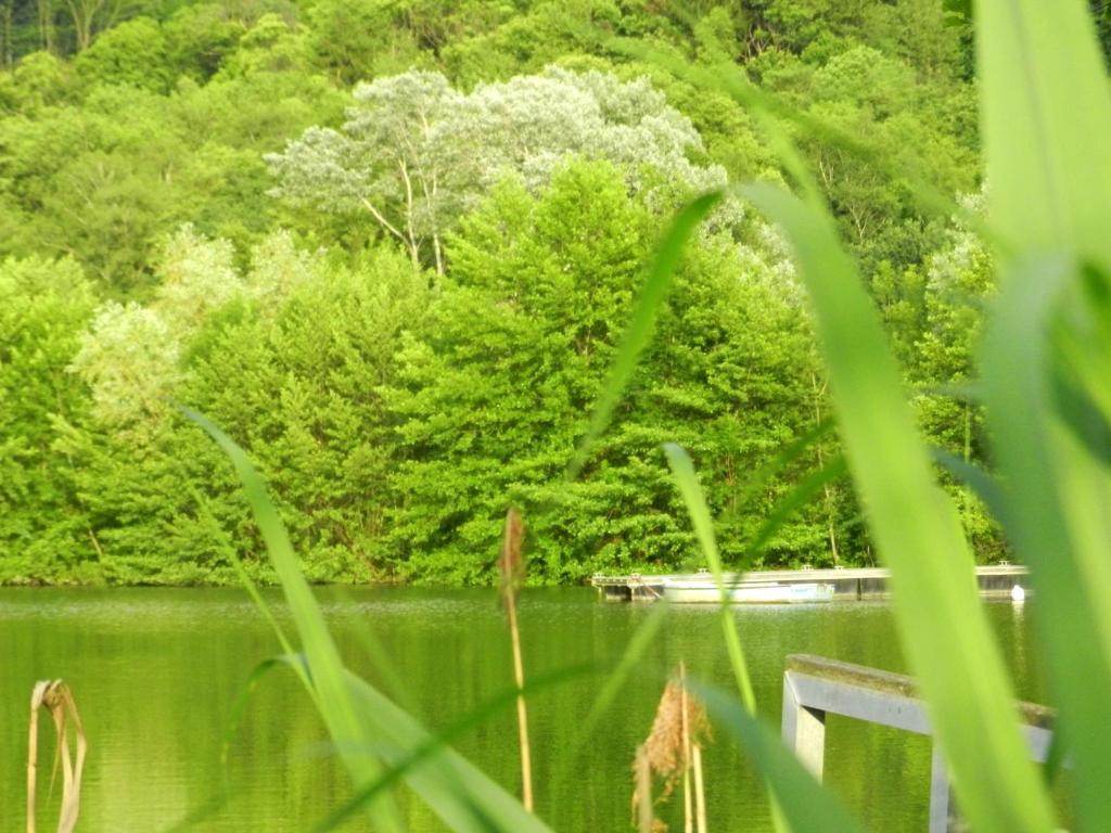 Gite Les Platanes Sainte-Helene-du-Lac Екстериор снимка